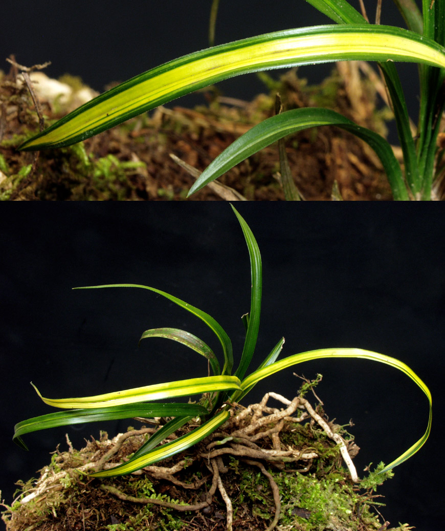 ������ ū������ �� �� �ֽ��ϴ�.