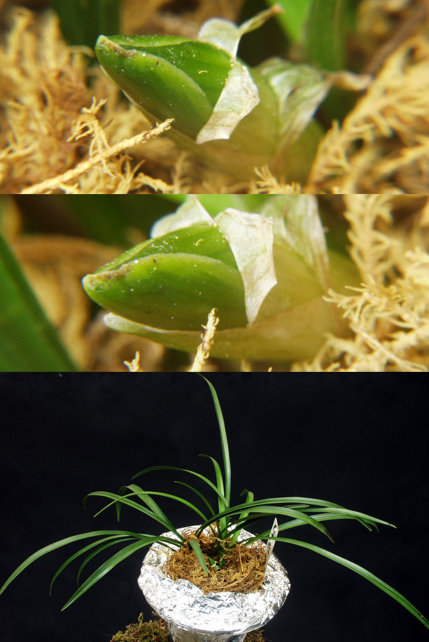 ������ ū������ �� �� �ֽ��ϴ�.