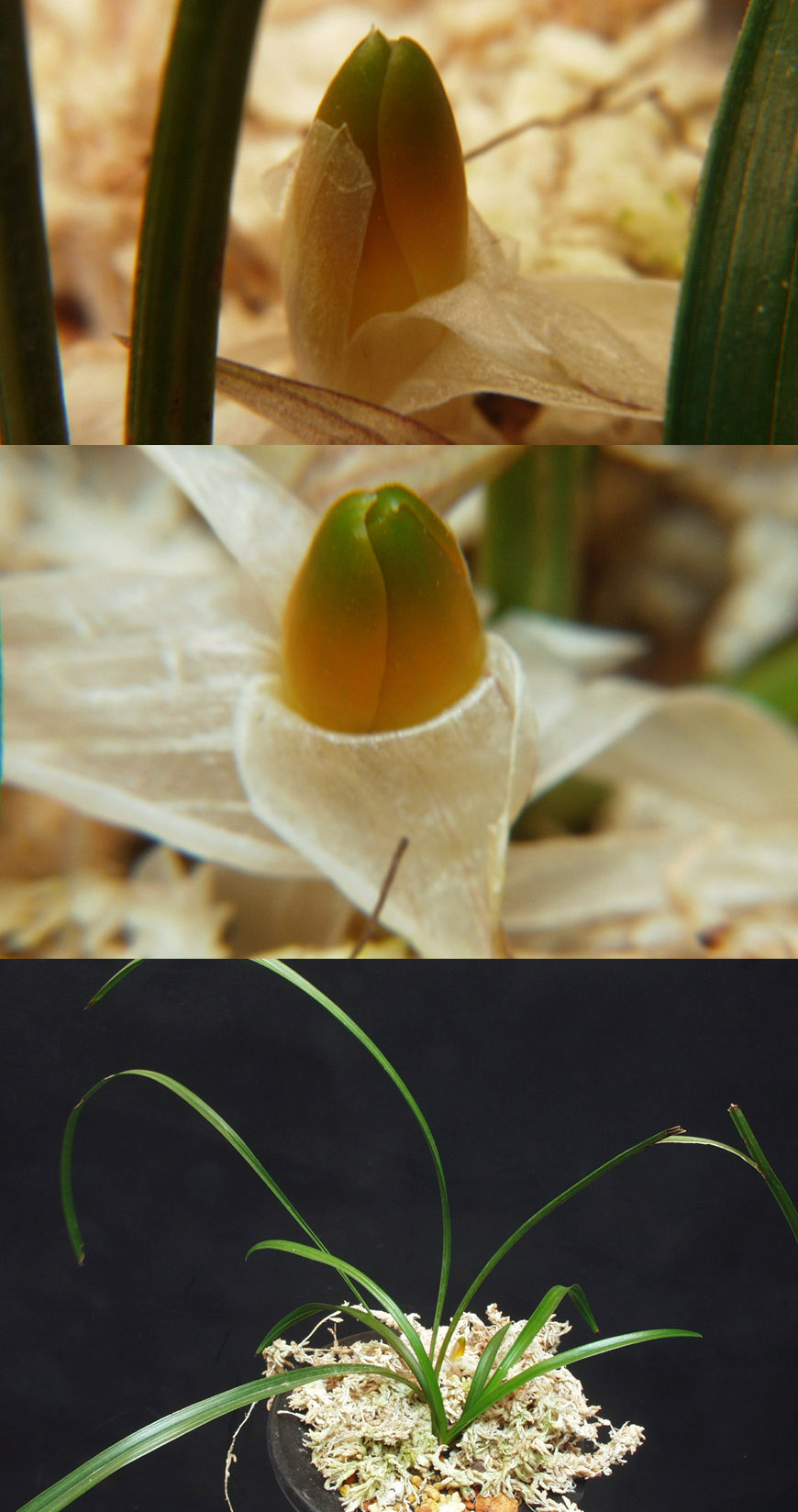 ������ ū������ �� �� �ֽ��ϴ�.