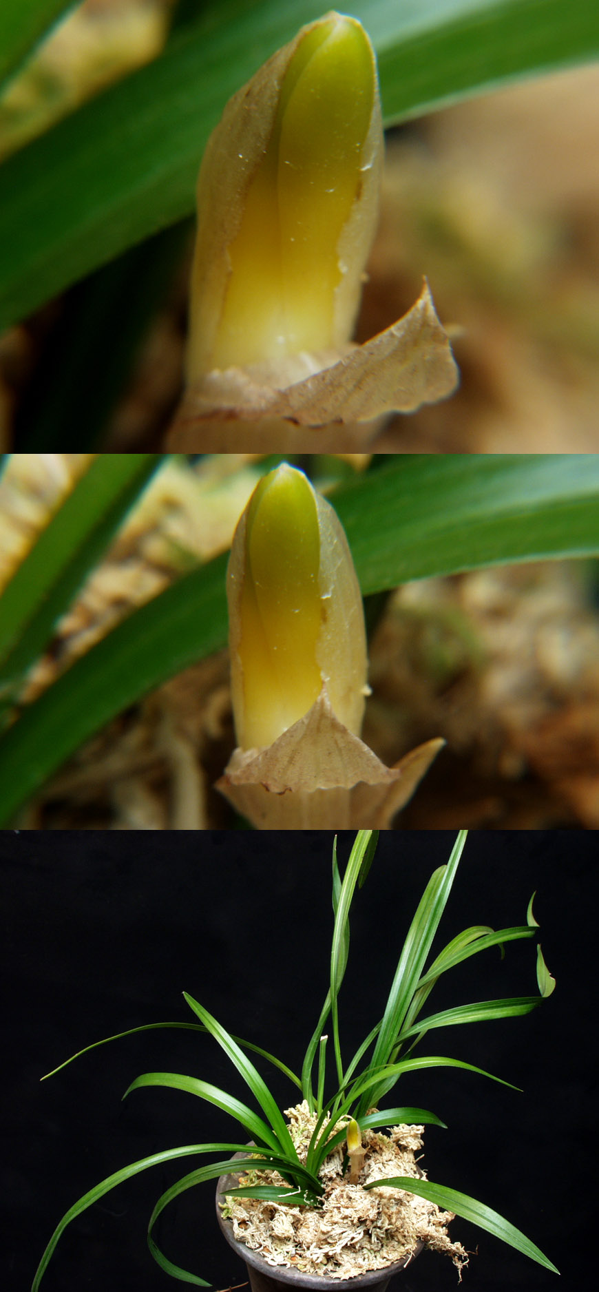 ������ ū������ �� �� �ֽ��ϴ�.