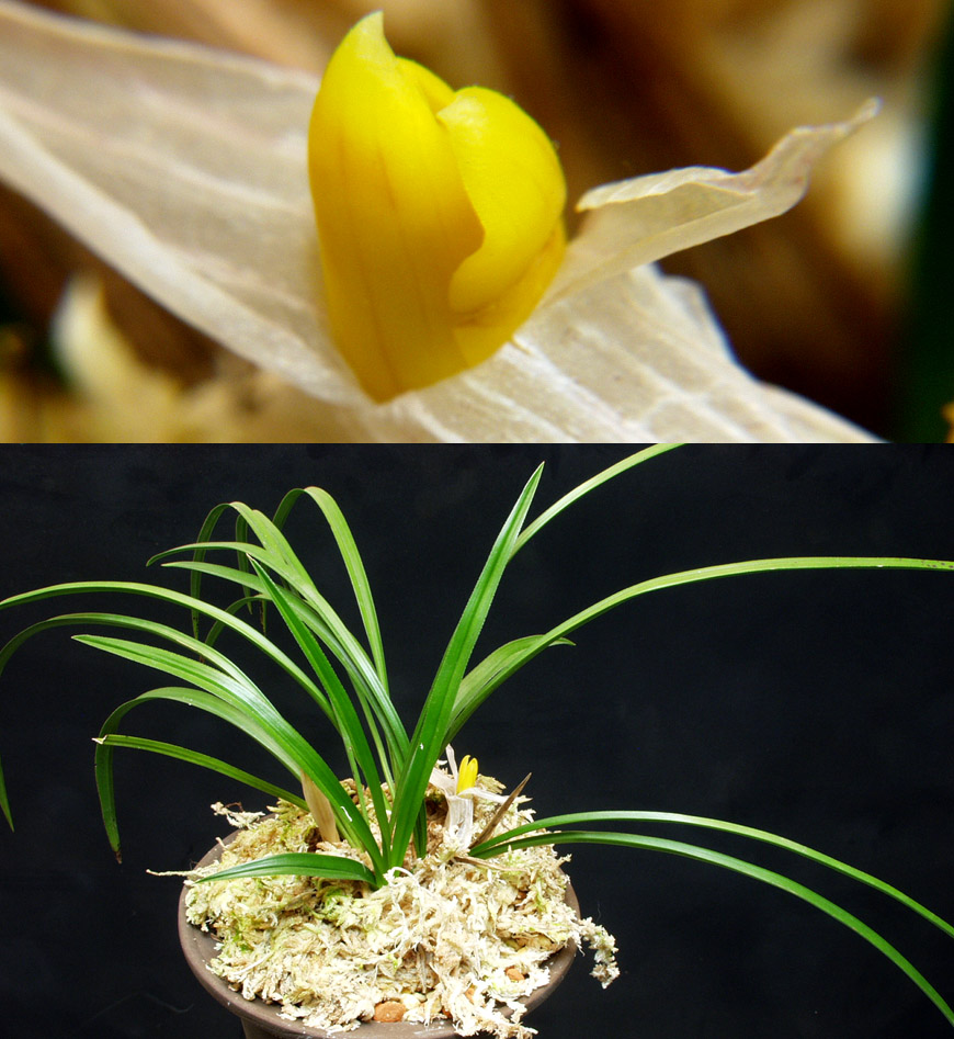 ������ ū������ �� �� �ֽ��ϴ�.