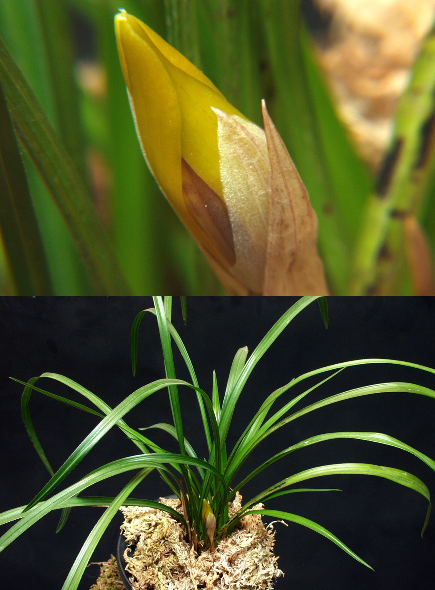 ������ ū������ �� �� �ֽ��ϴ�.