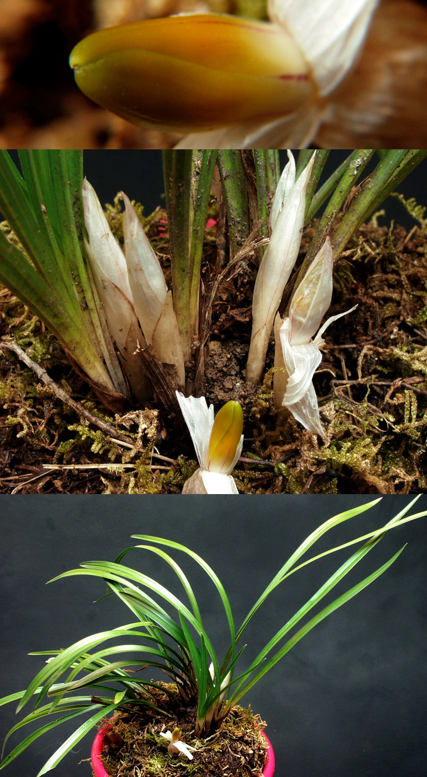 ������ ū������ �� �� �ֽ��ϴ�.