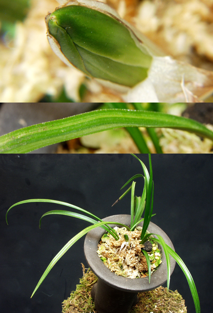 ������ ū������ �� �� �ֽ��ϴ�.