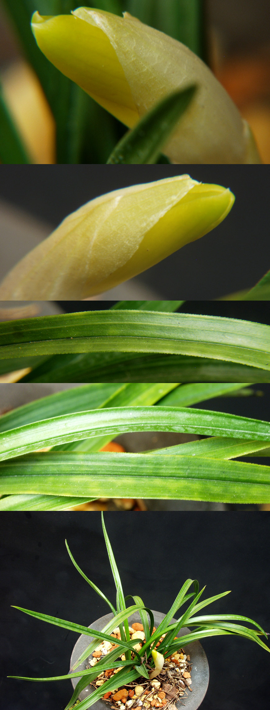 ������ ū������ �� �� �ֽ��ϴ�.