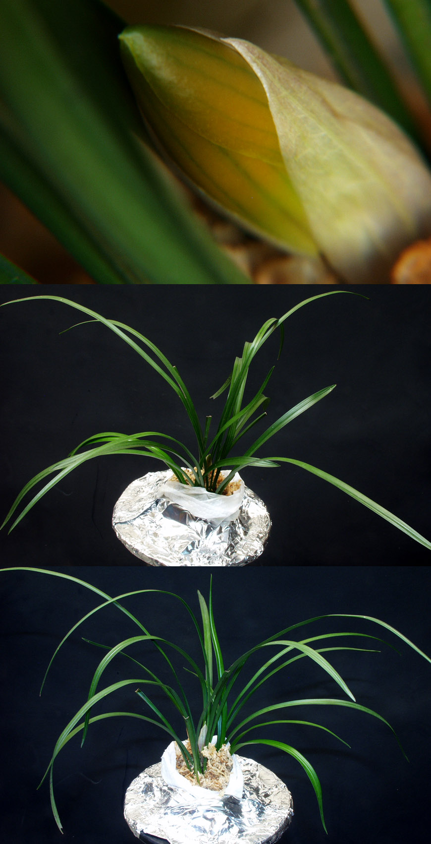 ������ ū������ �� �� �ֽ��ϴ�.