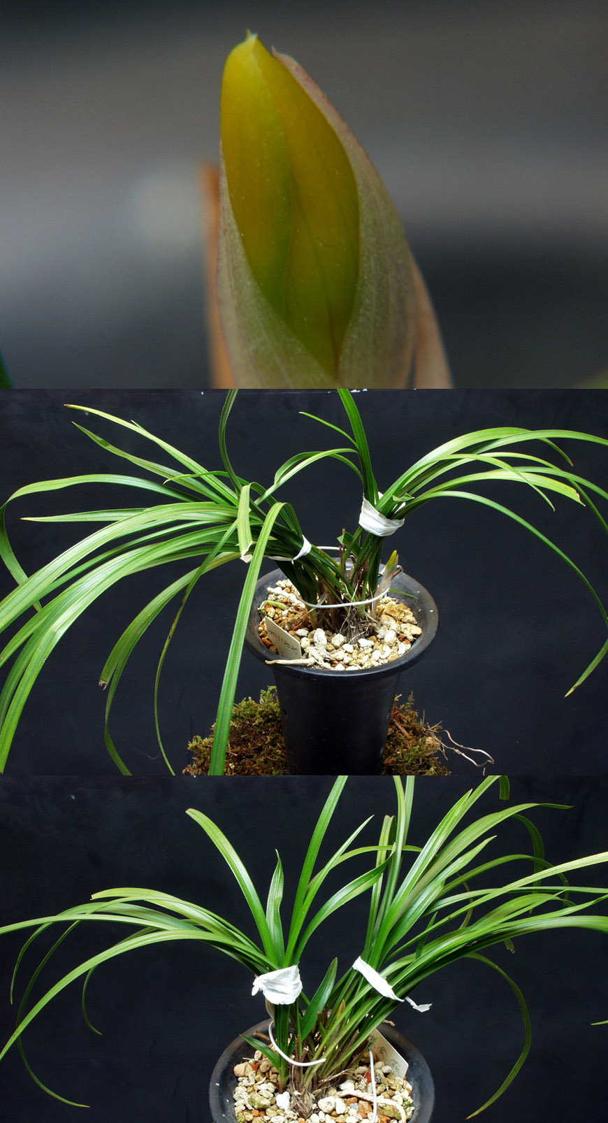 ������ ū������ �� �� �ֽ��ϴ�.