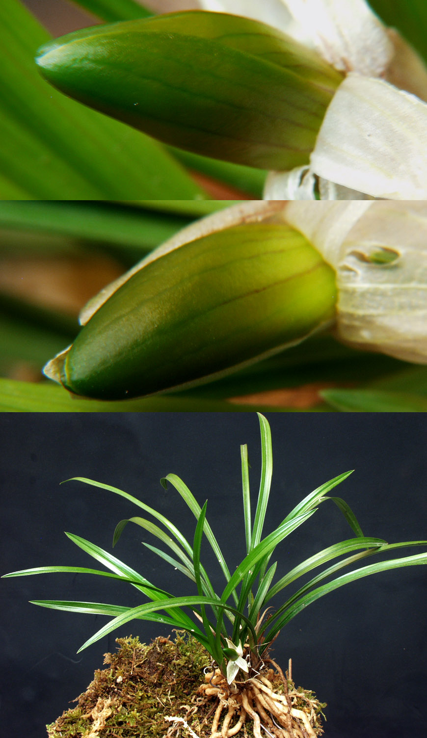 ������ ū������ �� �� �ֽ��ϴ�.