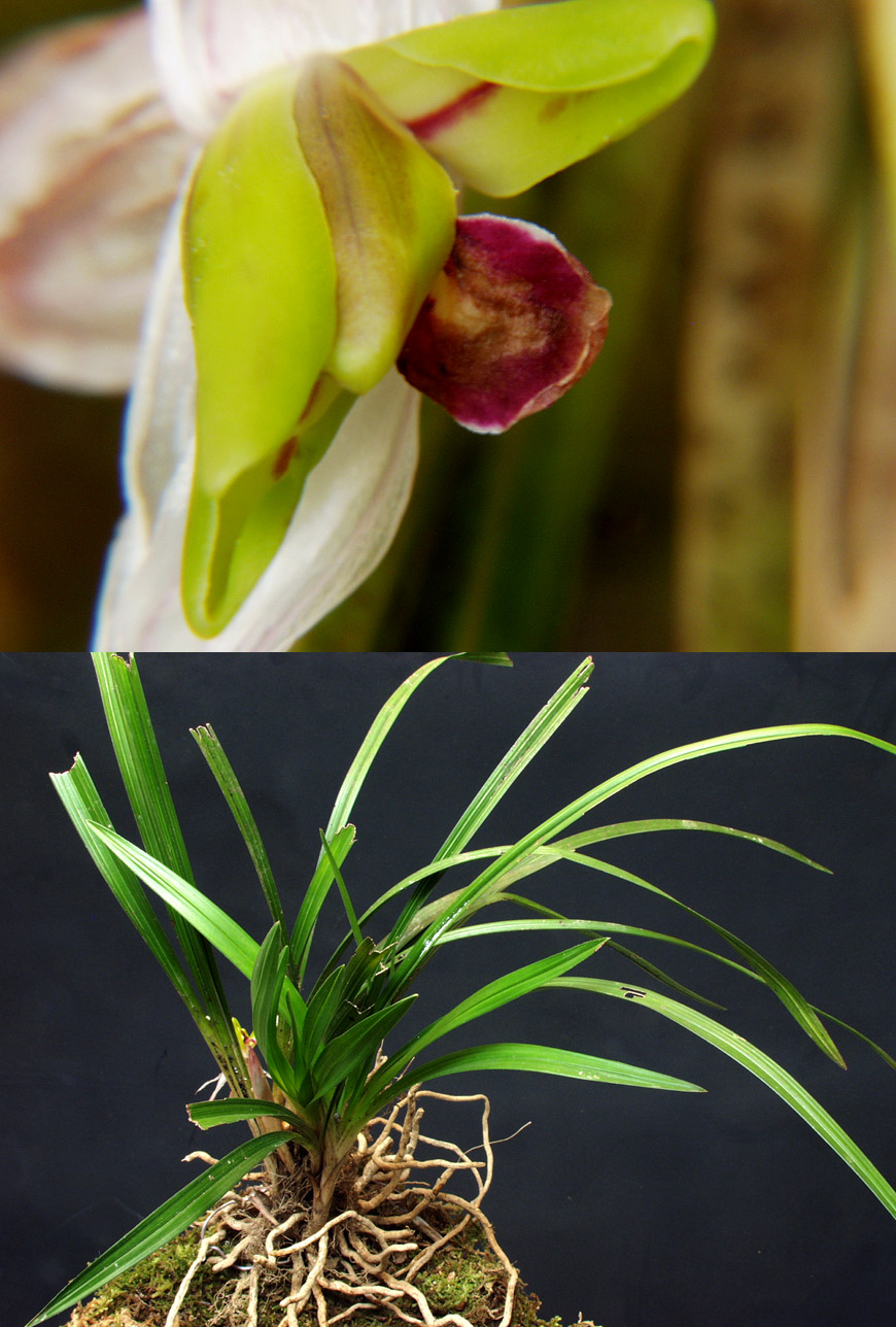 ������ ū������ �� �� �ֽ��ϴ�.