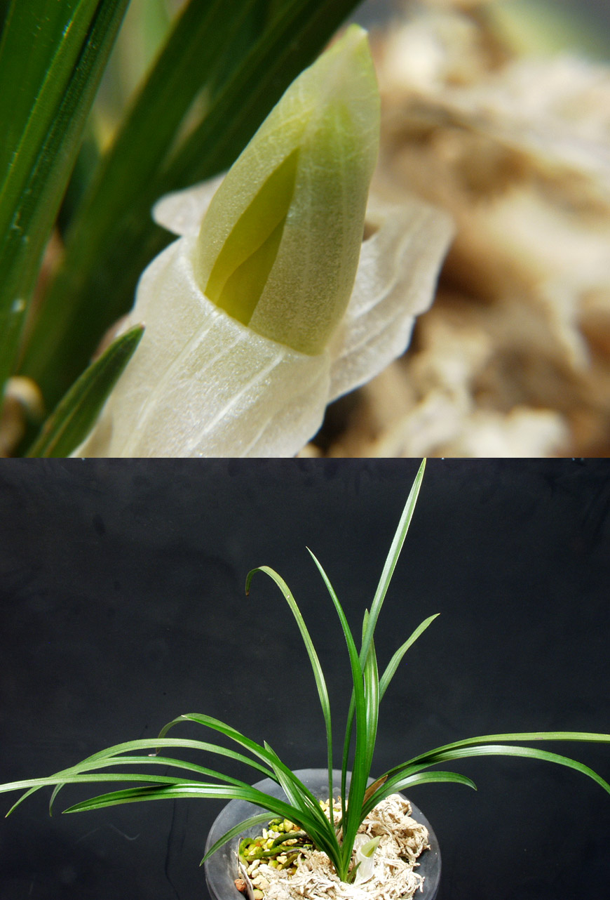 ������ ū������ �� �� �ֽ��ϴ�.