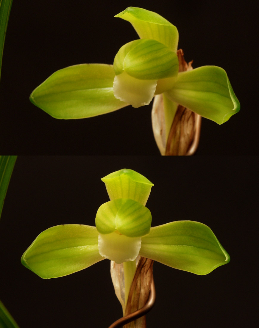 ������ ū������ �� �� �ֽ��ϴ�.