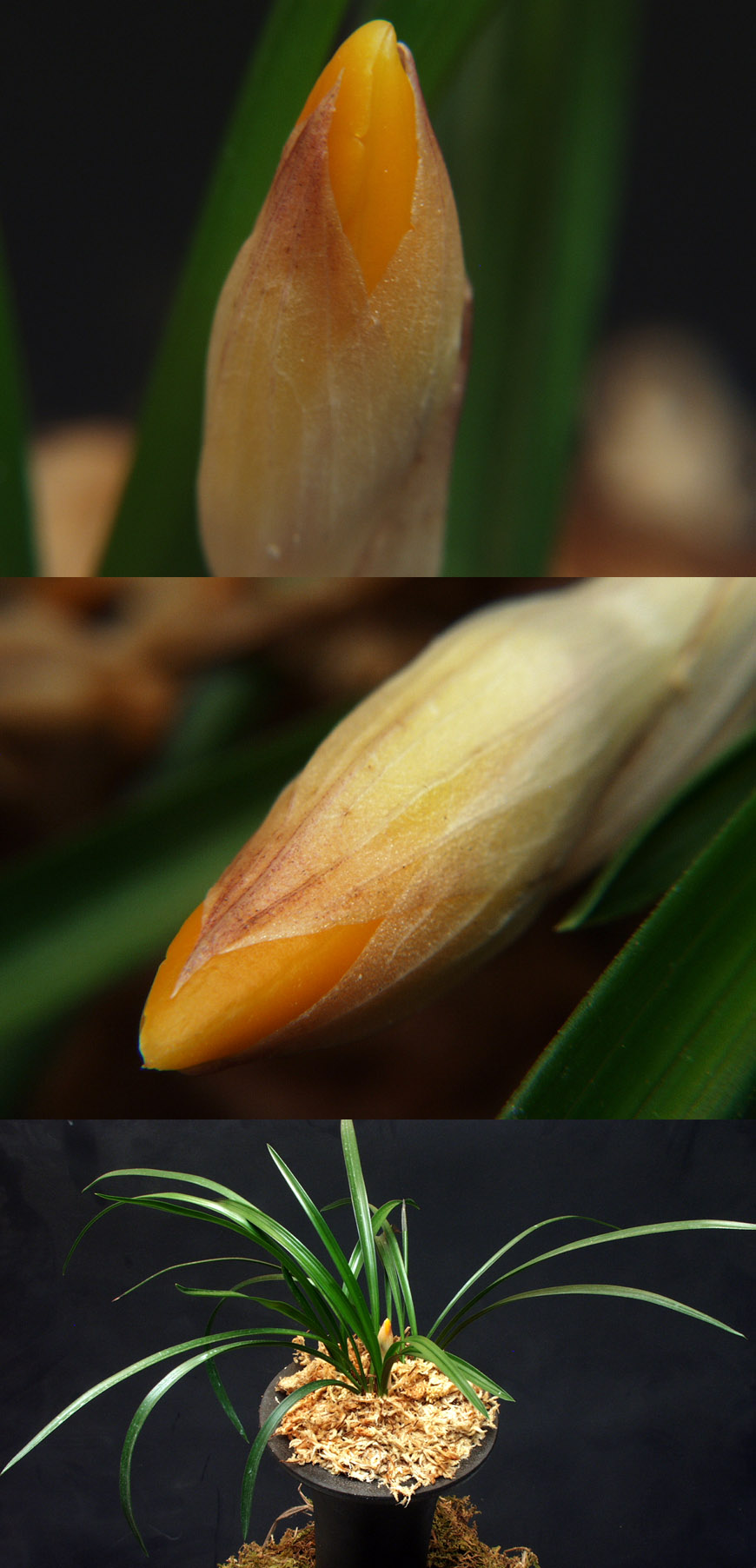 ������ ū������ �� �� �ֽ��ϴ�.