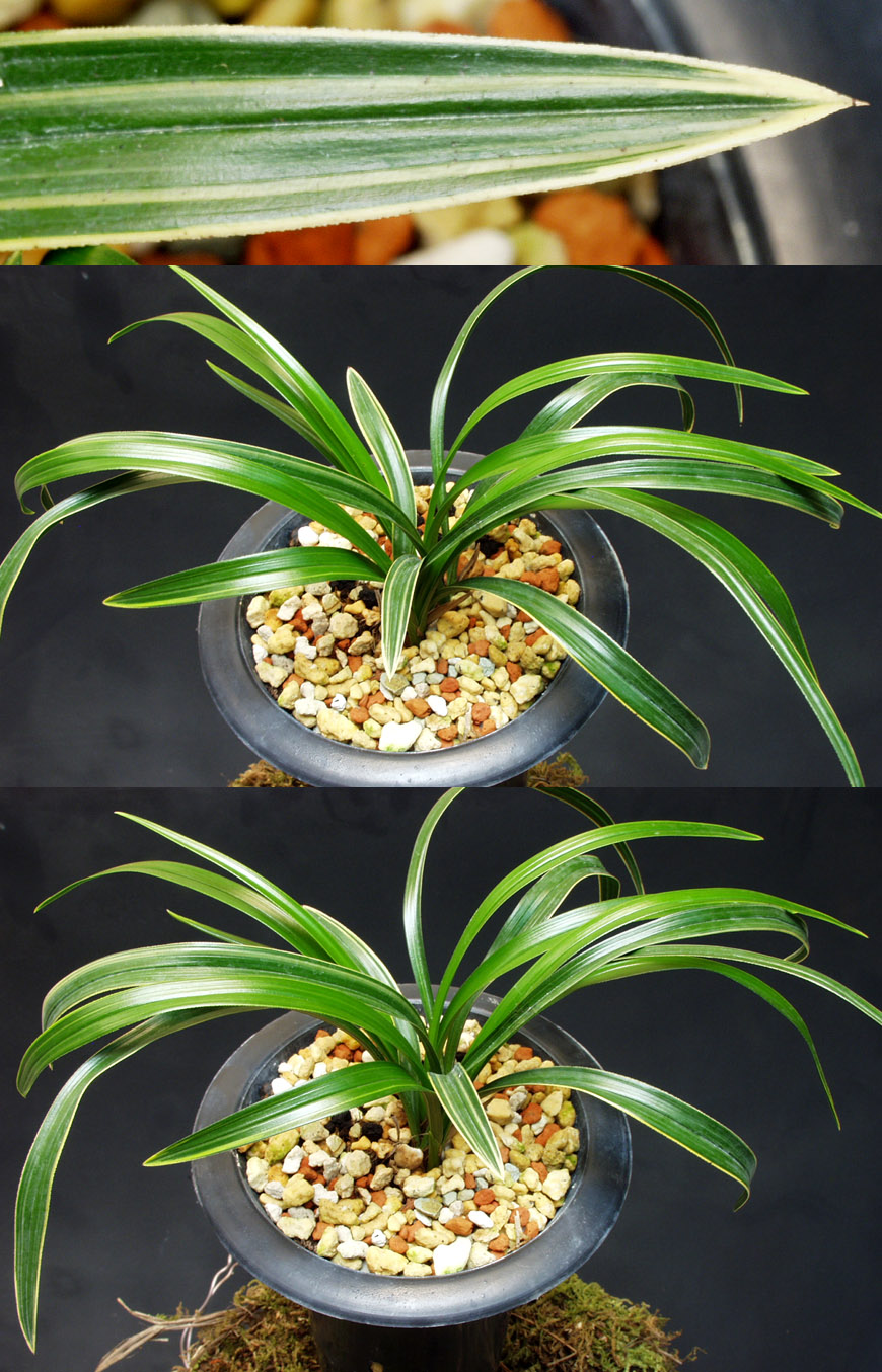 ������ ū������ �� �� �ֽ��ϴ�.