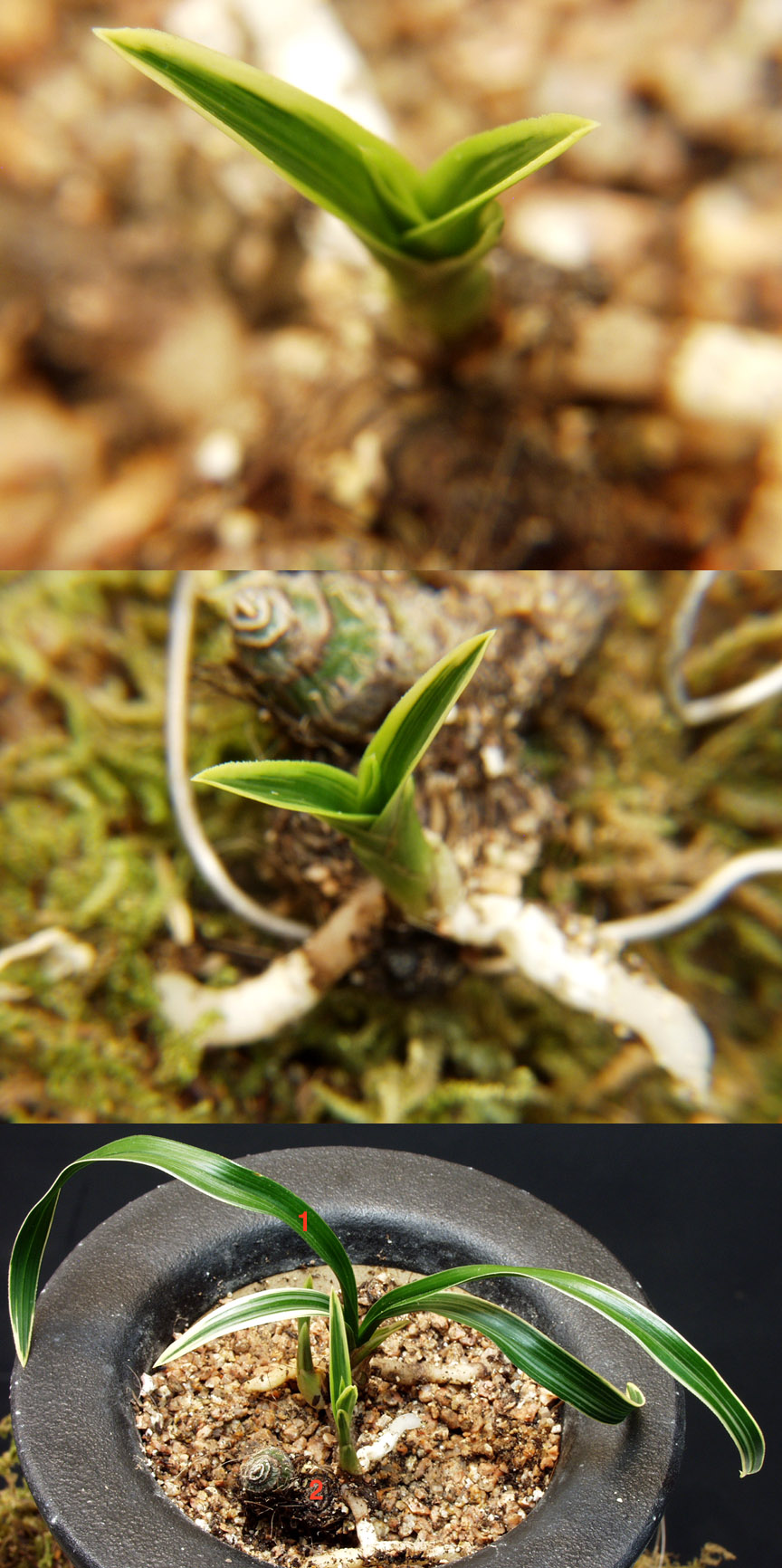 ������ ū������ �� �� �ֽ��ϴ�.