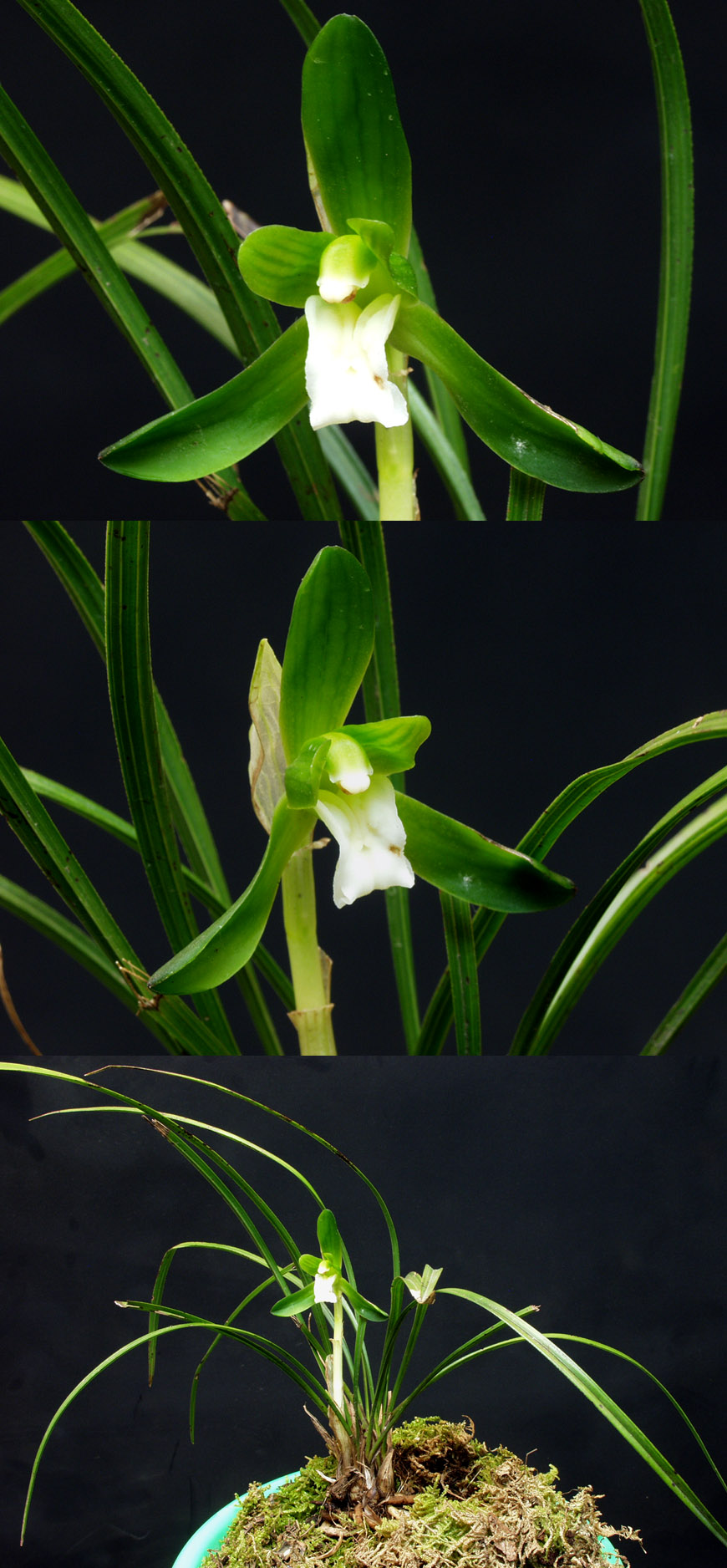 ������ ū������ �� �� �ֽ��ϴ�.