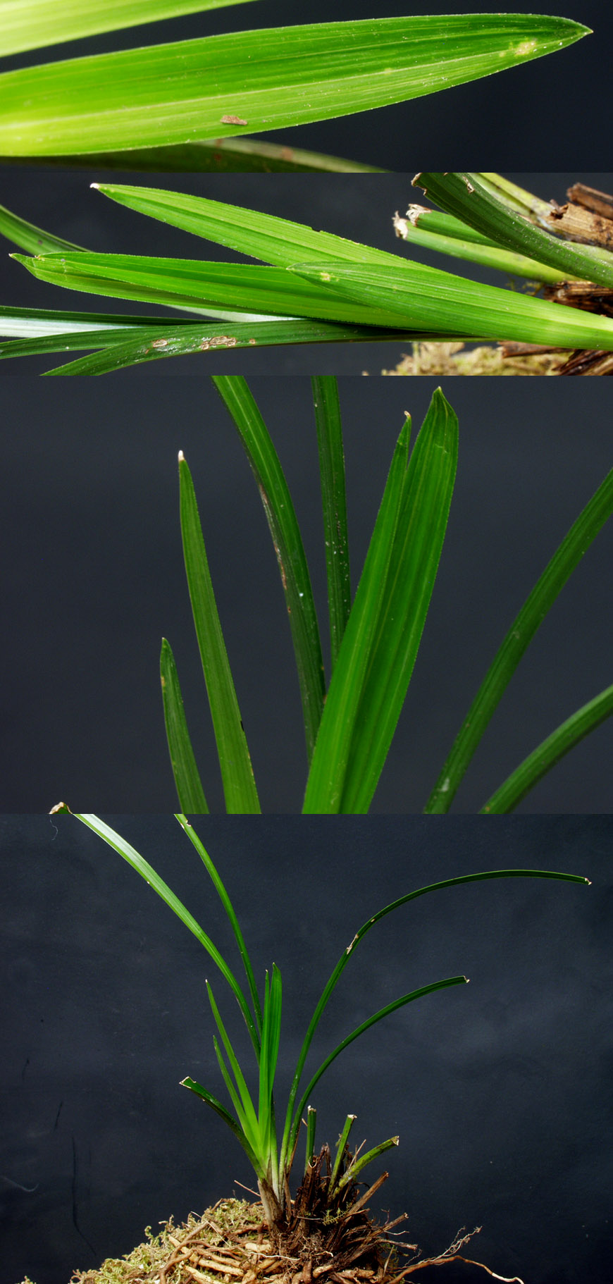 ������ ū������ �� �� �ֽ��ϴ�.