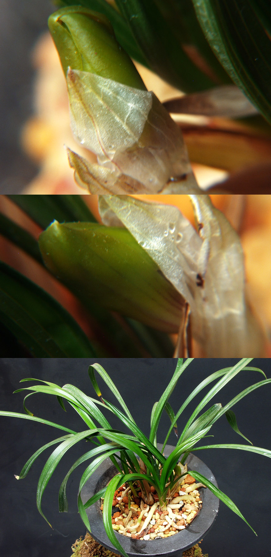 ������ ū������ �� �� �ֽ��ϴ�.