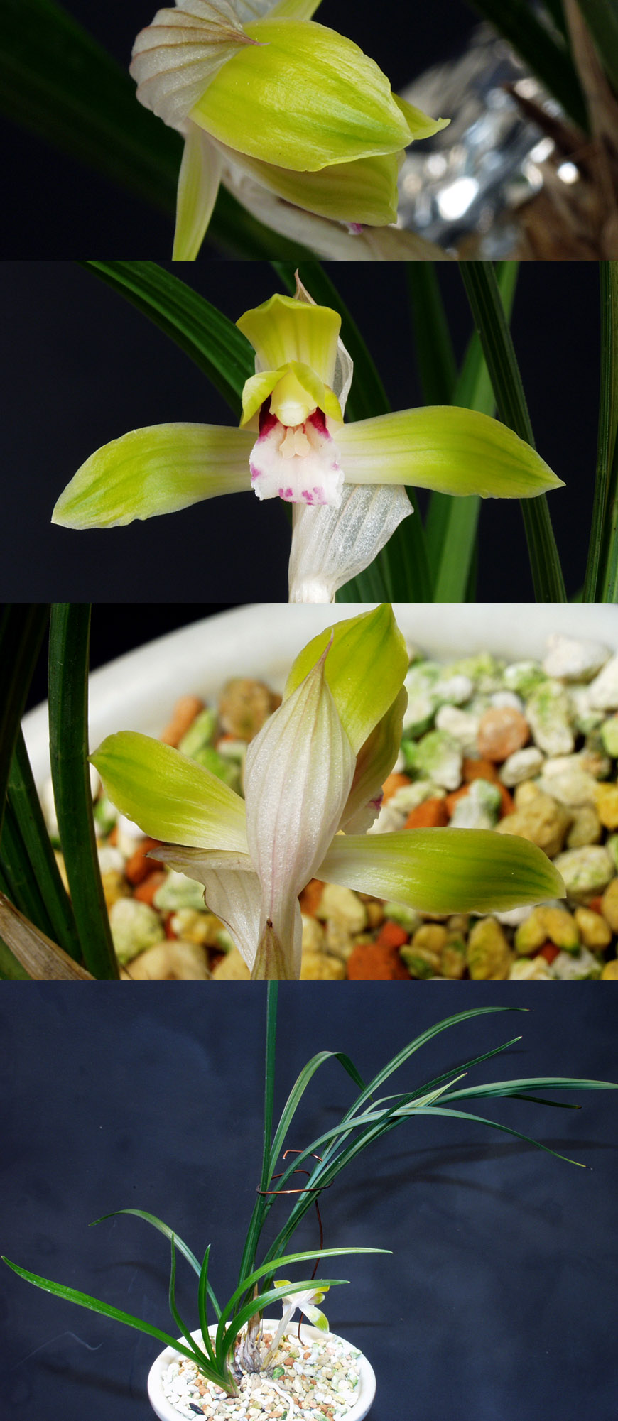 ������ ū������ �� �� �ֽ��ϴ�.