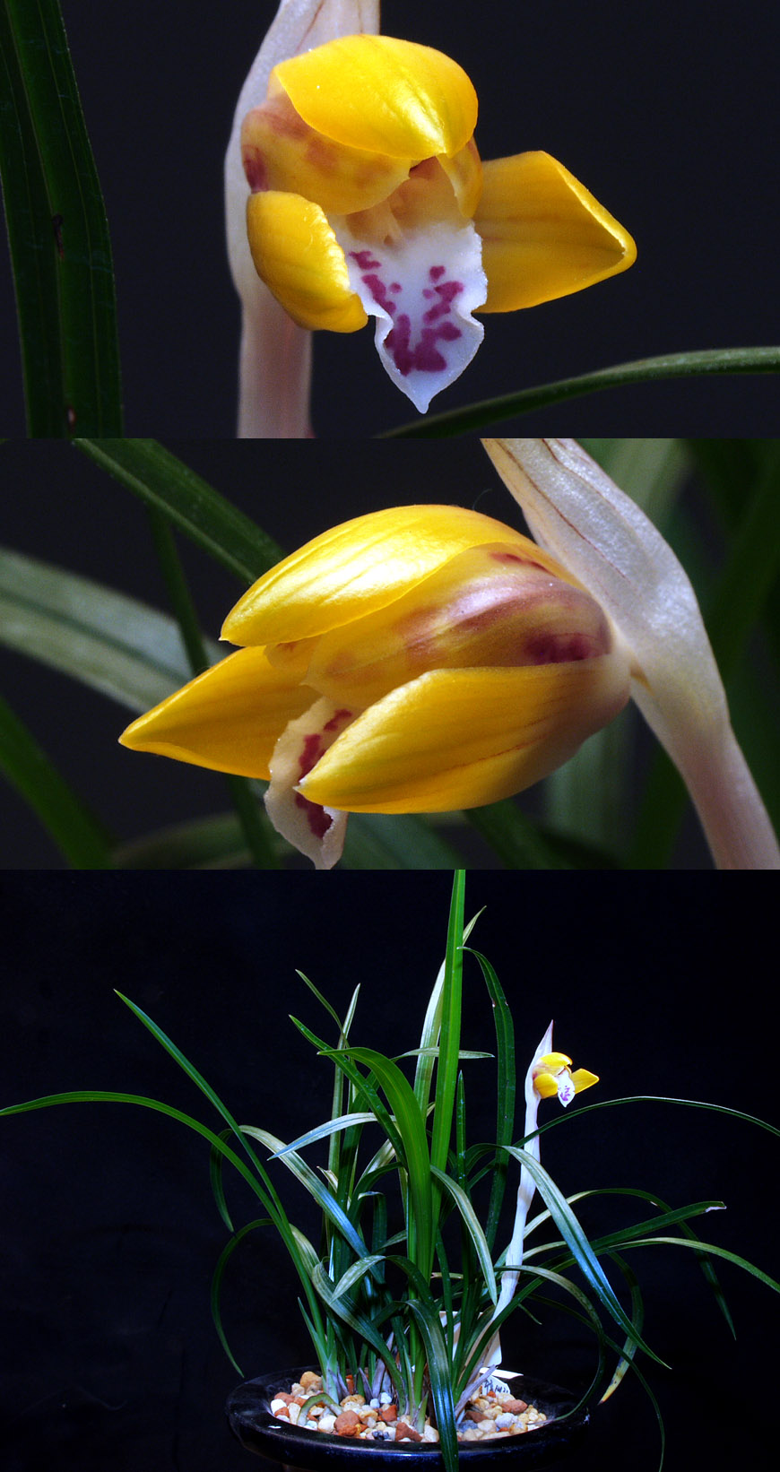 ������ ū������ �� �� �ֽ��ϴ�.