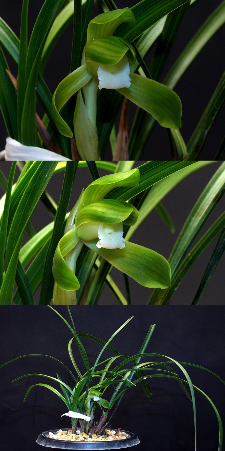 ������ ū������ �� �� �ֽ��ϴ�.