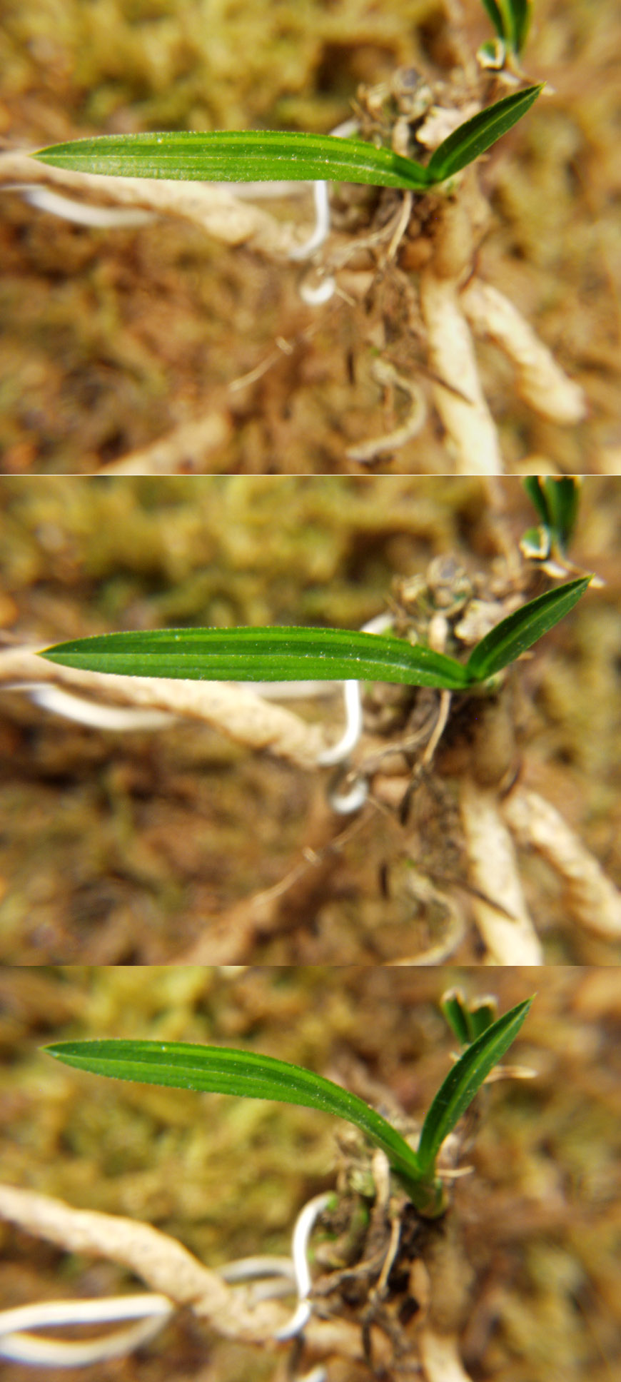 ������ ū������ �� �� �ֽ��ϴ�.