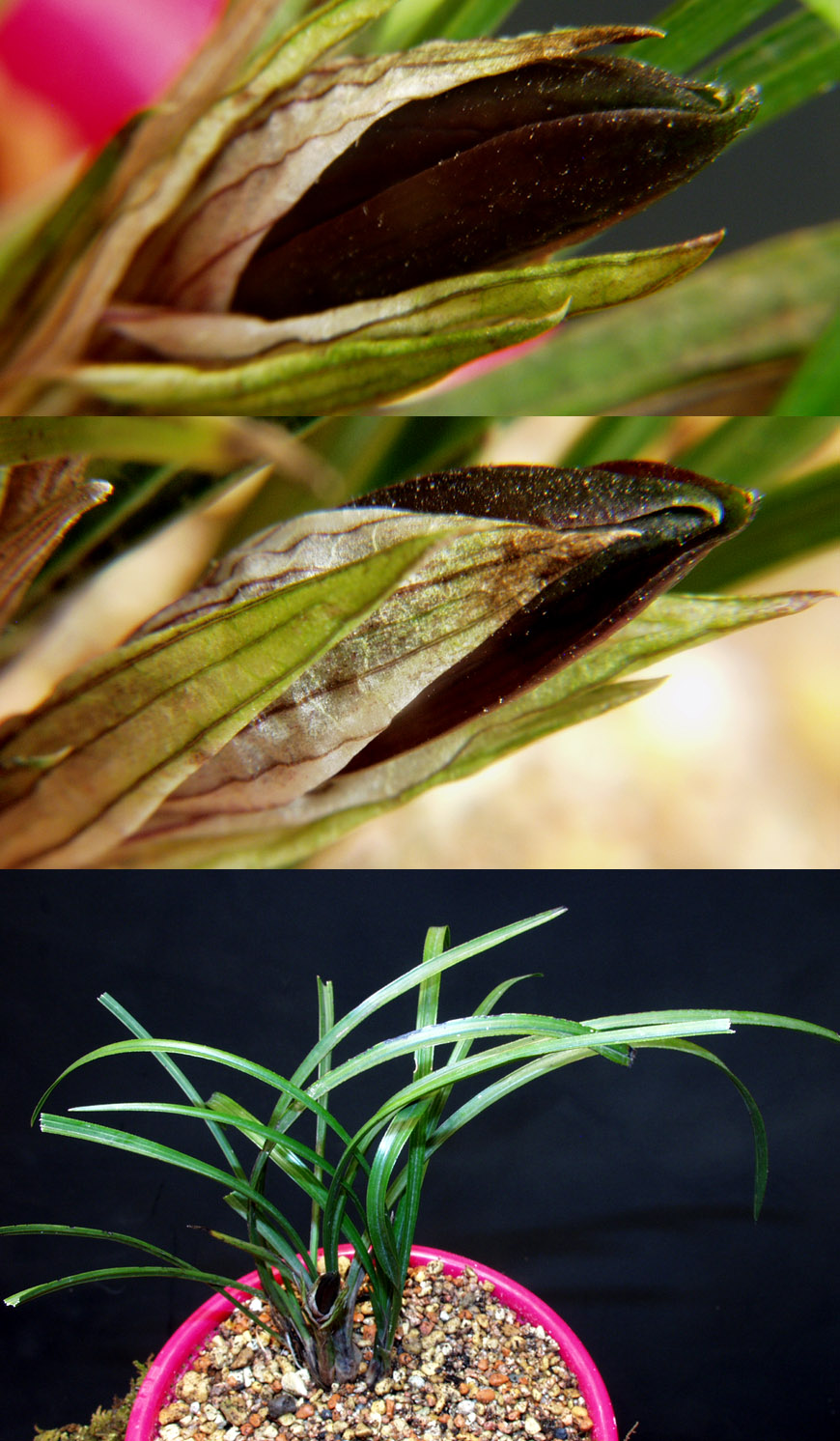 ������ ū������ �� �� �ֽ��ϴ�.