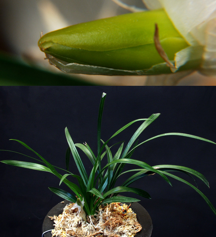 ������ ū������ �� �� �ֽ��ϴ�.