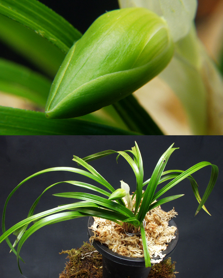 ������ ū������ �� �� �ֽ��ϴ�.