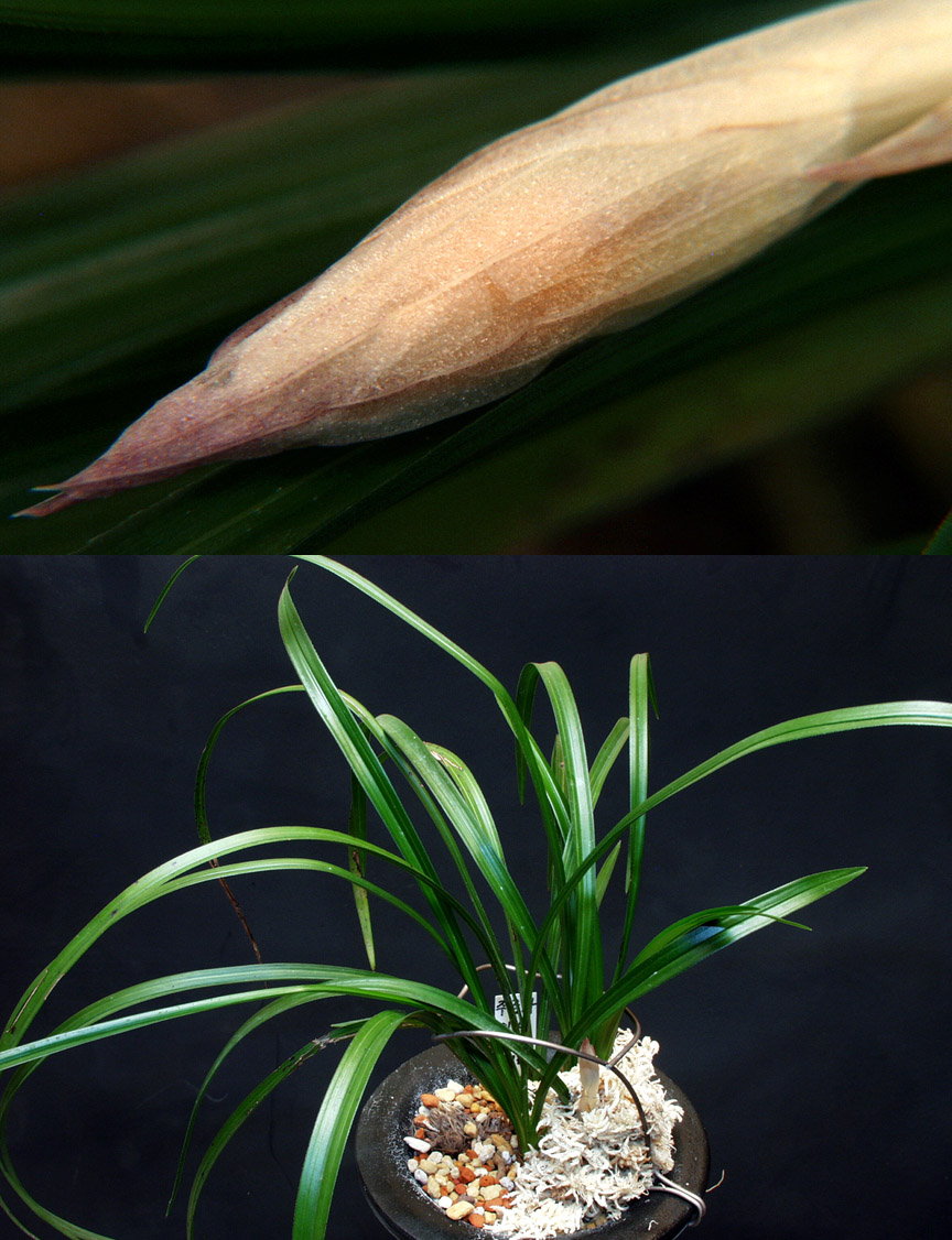 ������ ū������ �� �� �ֽ��ϴ�.