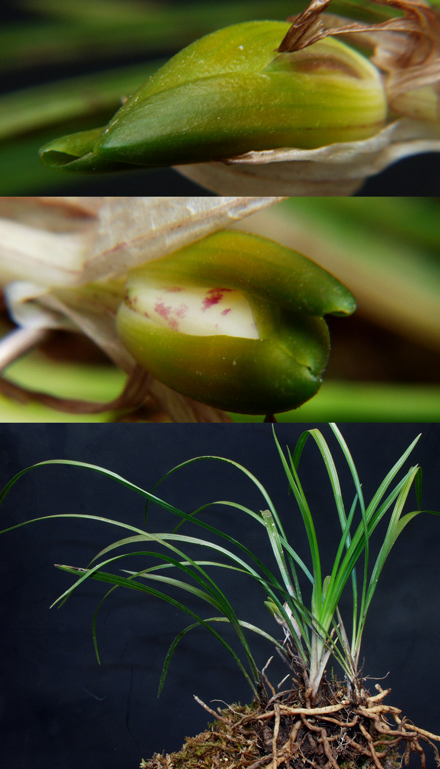 ������ ū������ �� �� �ֽ��ϴ�.