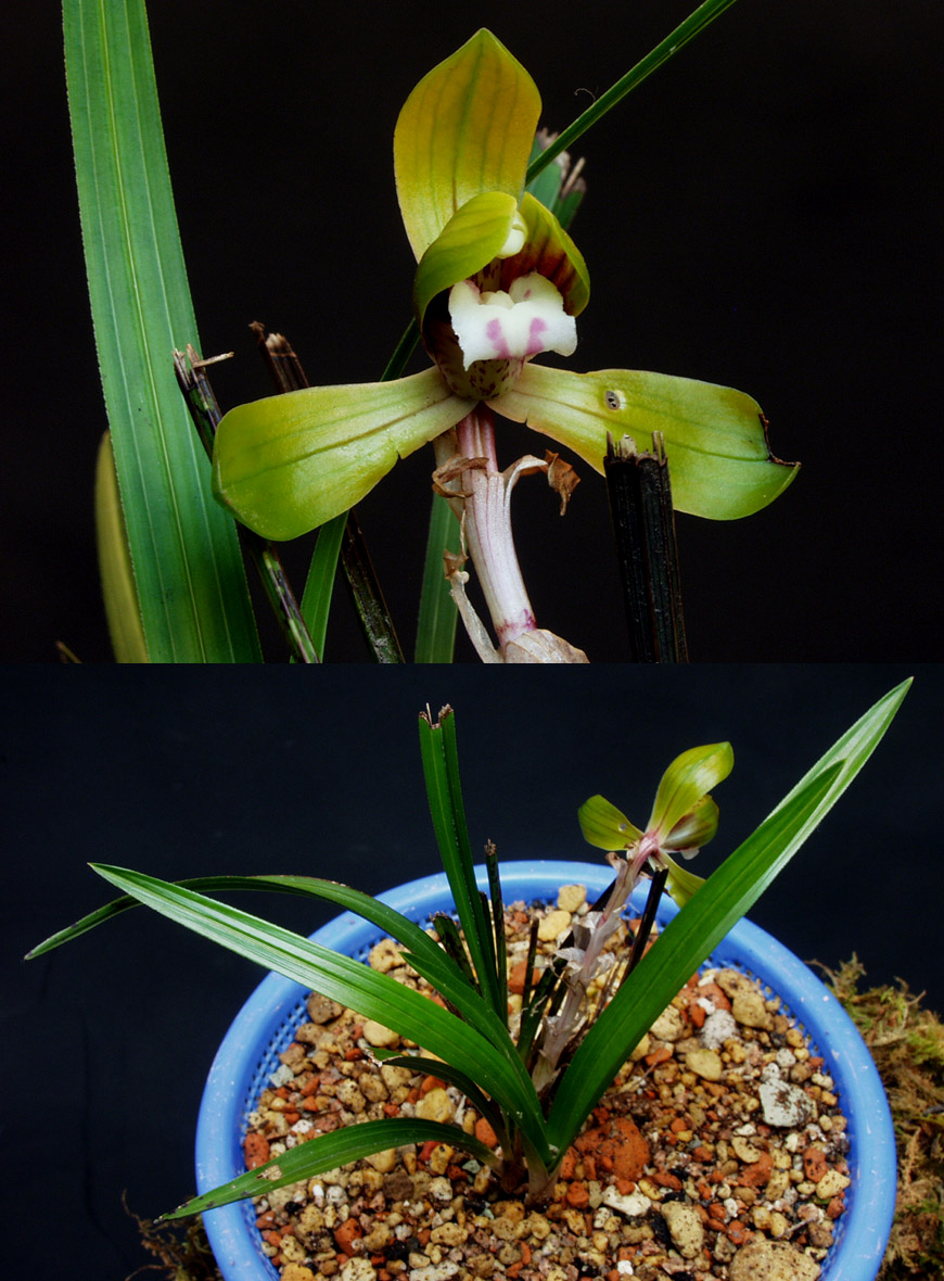 ������ ū������ �� �� �ֽ��ϴ�.