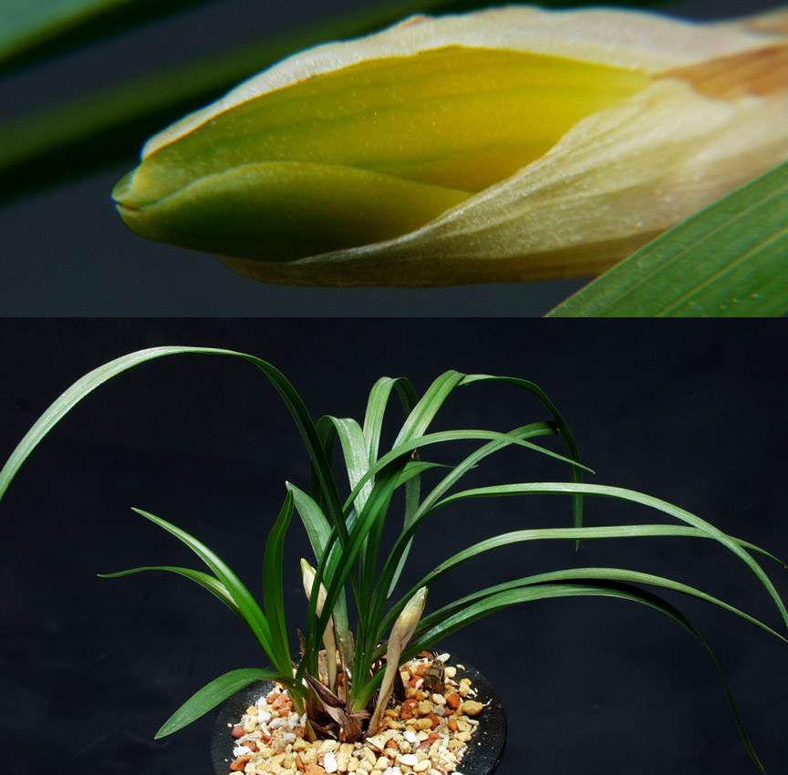 ������ ū������ �� �� �ֽ��ϴ�.