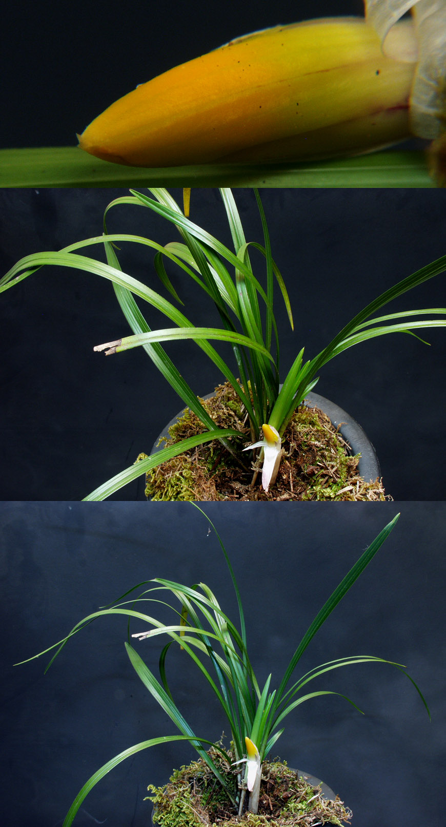 ������ ū������ �� �� �ֽ��ϴ�.