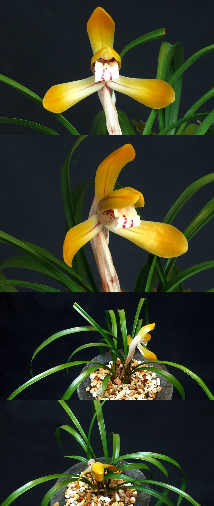 ������ ū������ �� �� �ֽ��ϴ�.