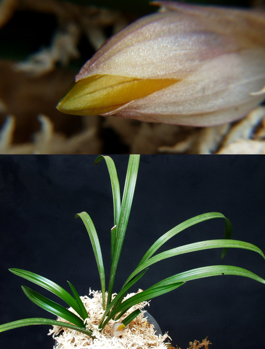 ������ ū������ �� �� �ֽ��ϴ�.