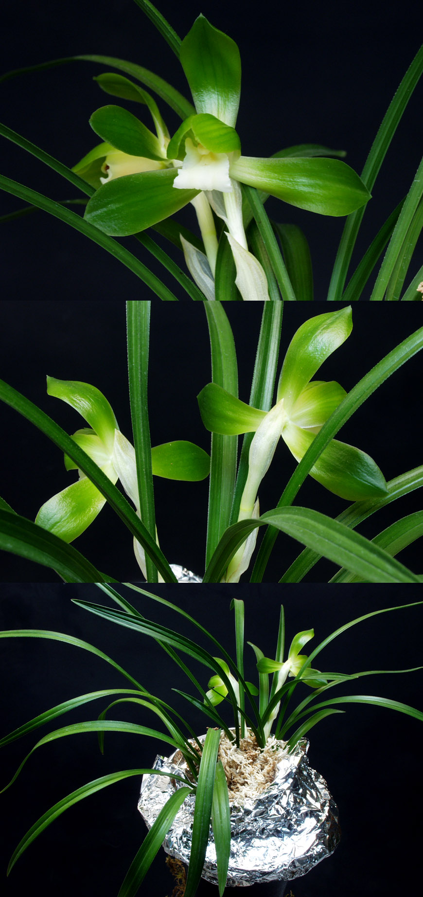 ������ ū������ �� �� �ֽ��ϴ�.