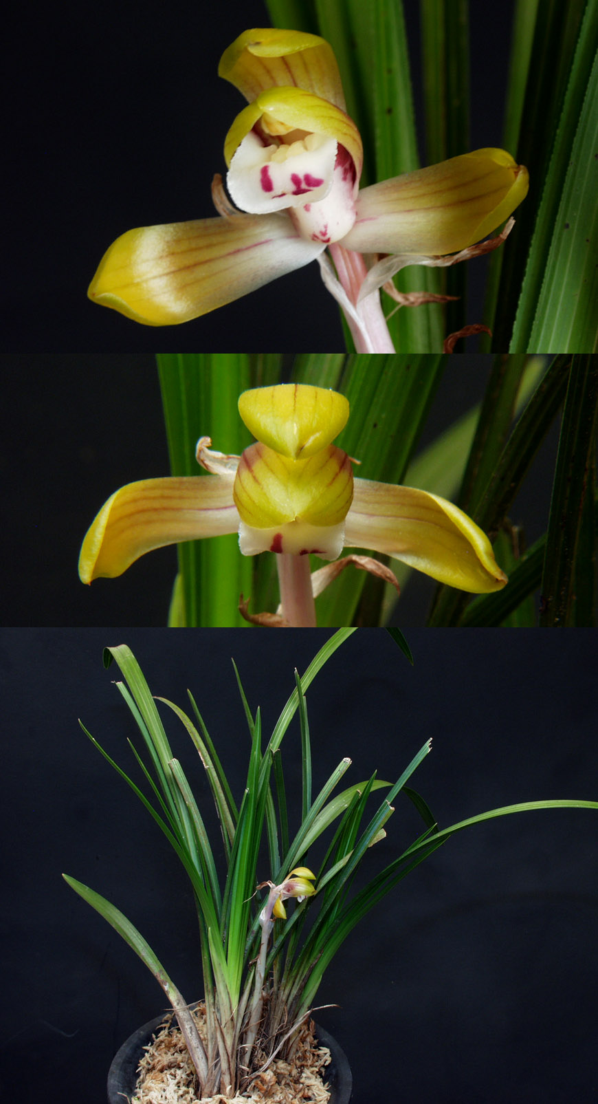 ������ ū������ �� �� �ֽ��ϴ�.