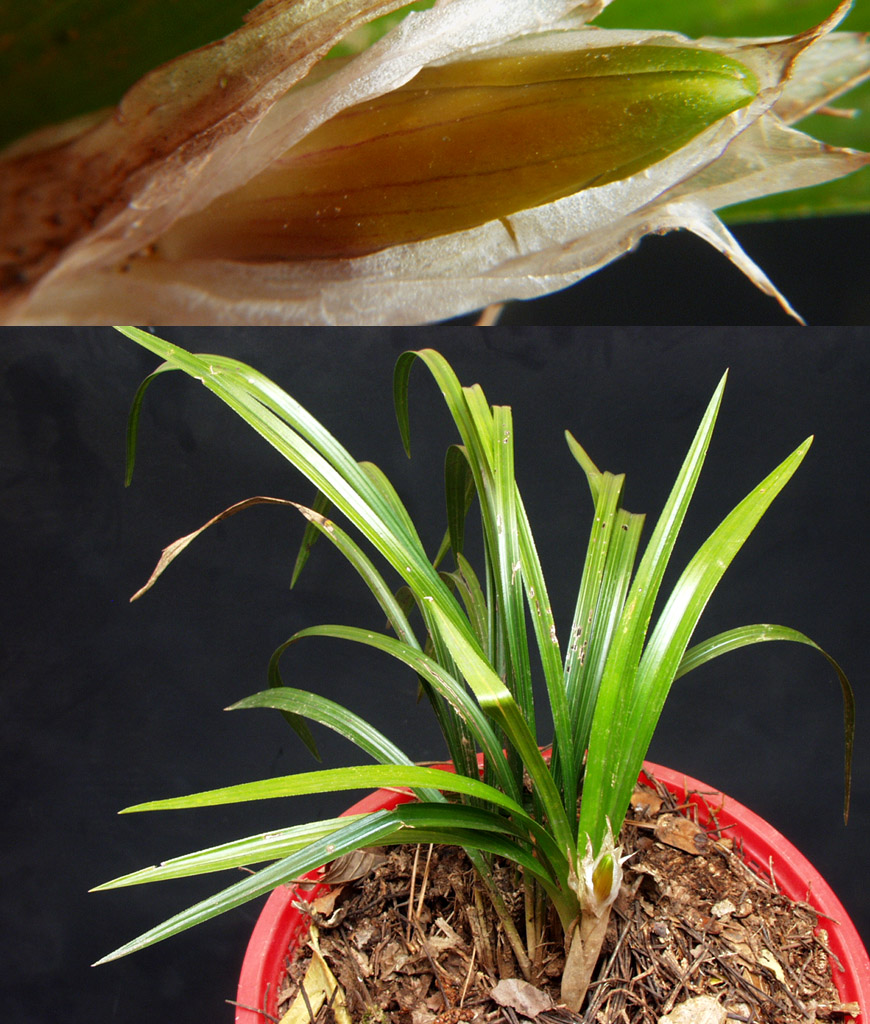 ������ ū������ �� �� �ֽ��ϴ�.