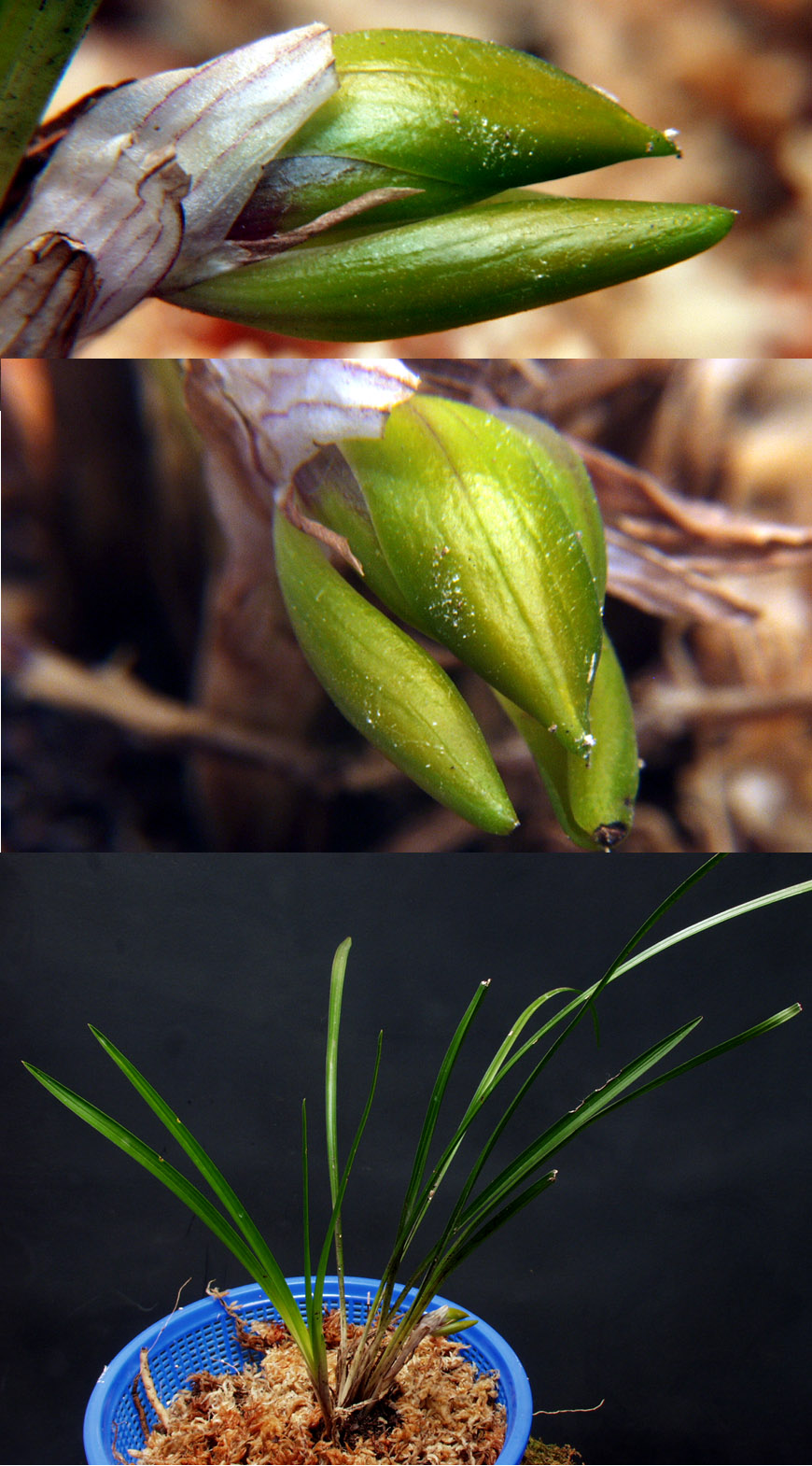 ������ ū������ �� �� �ֽ��ϴ�.