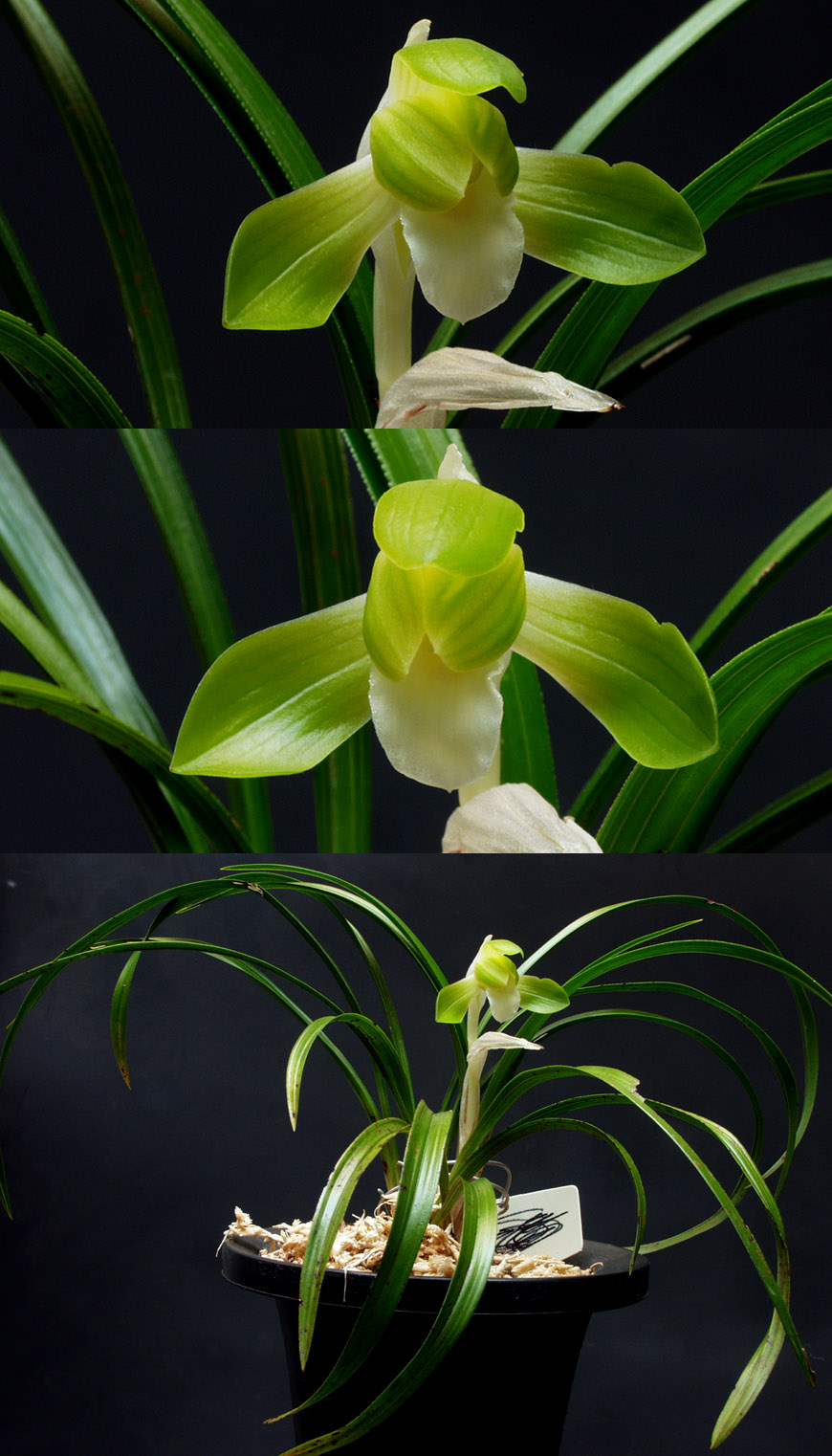 ������ ū������ �� �� �ֽ��ϴ�.