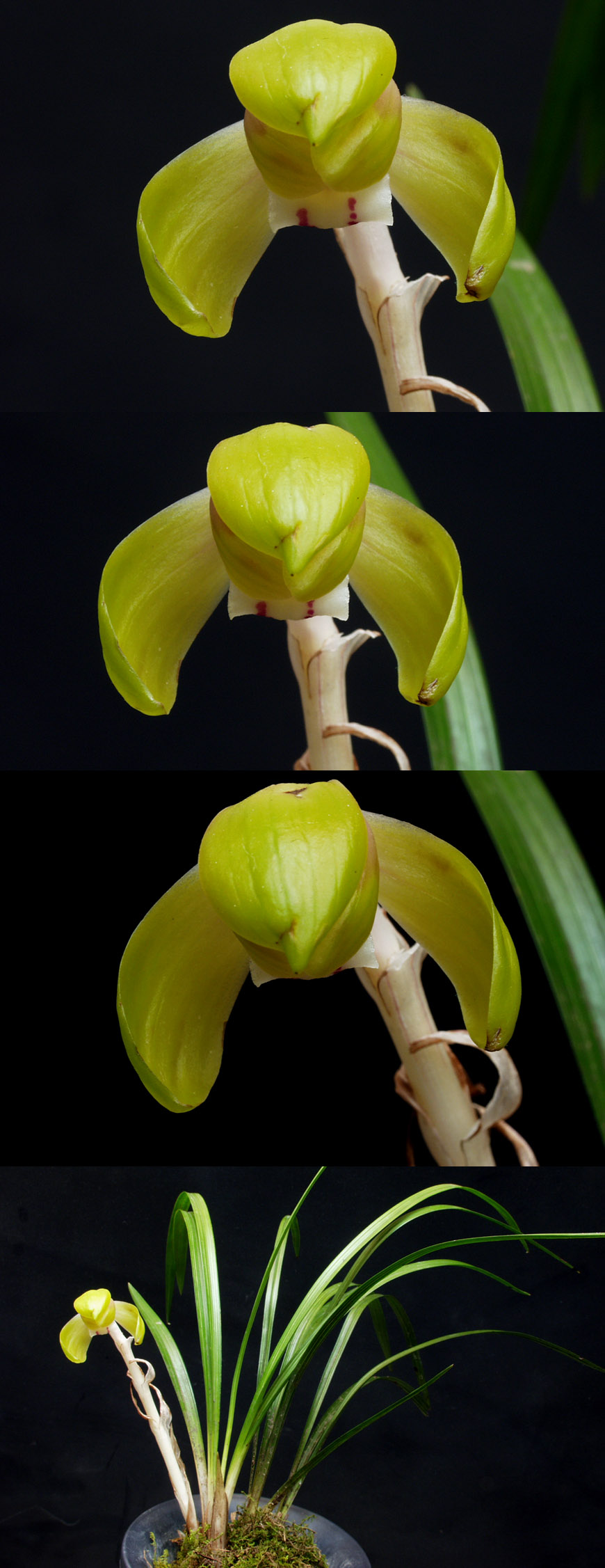 ������ ū������ �� �� �ֽ��ϴ�.