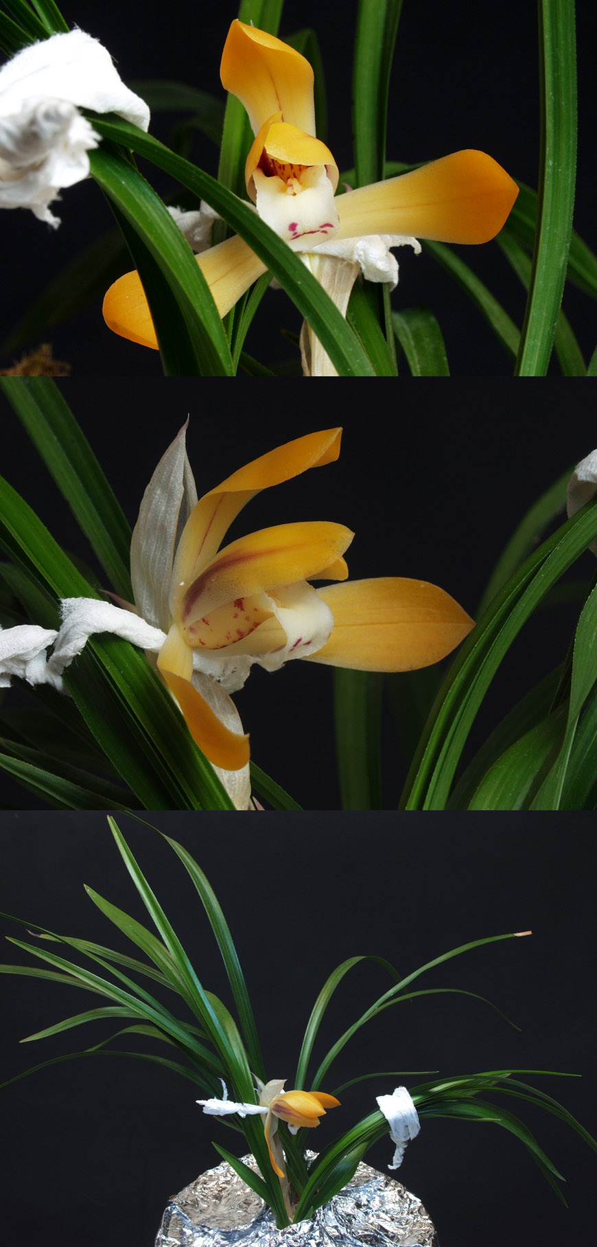 ������ ū������ �� �� �ֽ��ϴ�.