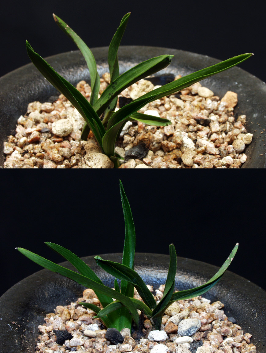 ������ ū������ �� �� �ֽ��ϴ�.