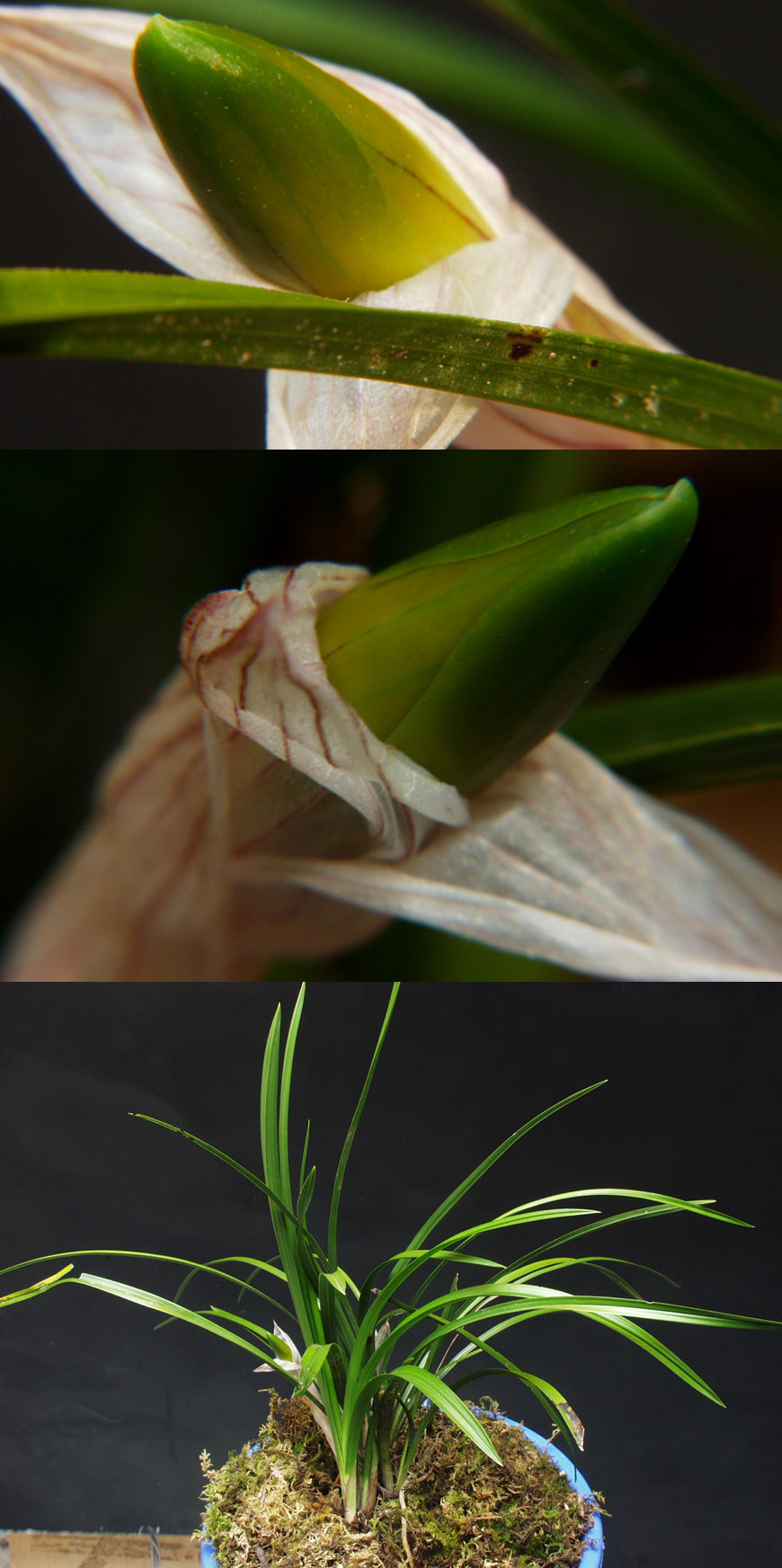 ������ ū������ �� �� �ֽ��ϴ�.