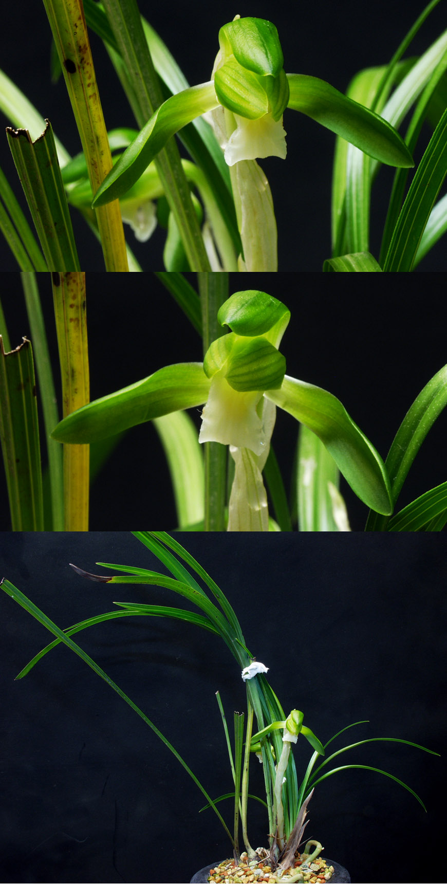 ������ ū������ �� �� �ֽ��ϴ�.