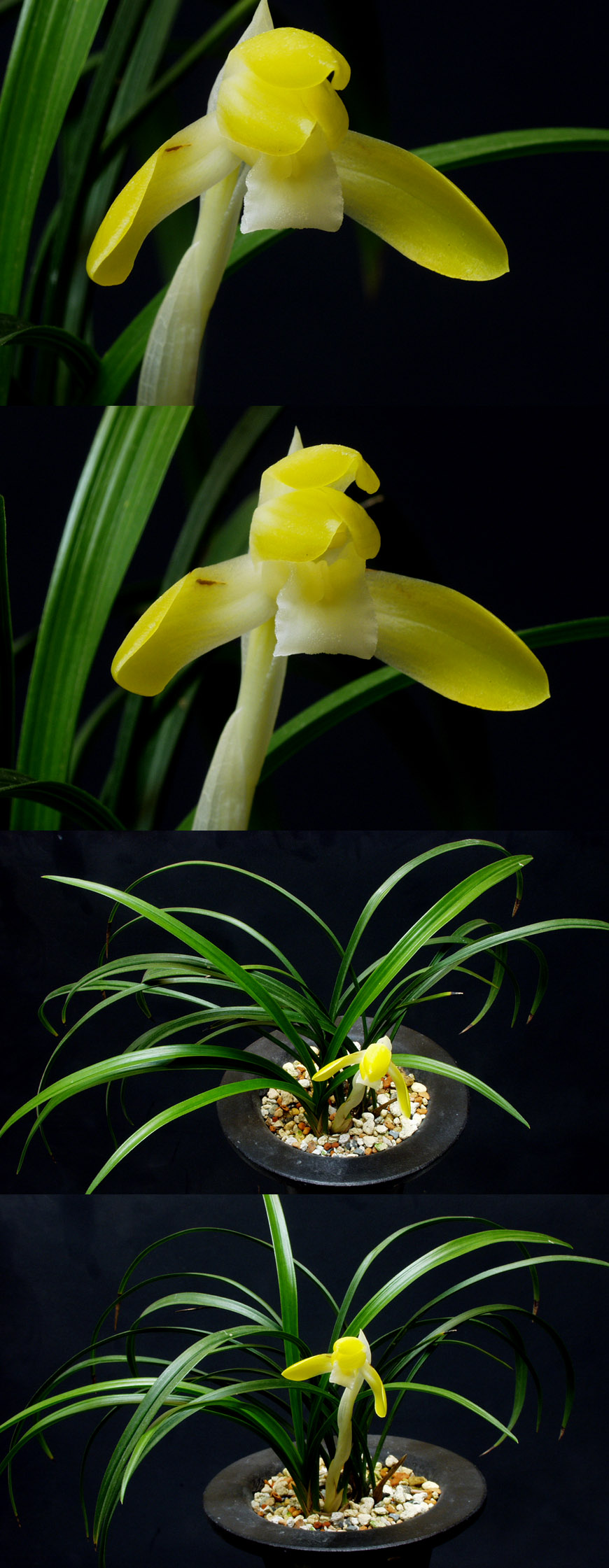 ������ ū������ �� �� �ֽ��ϴ�.