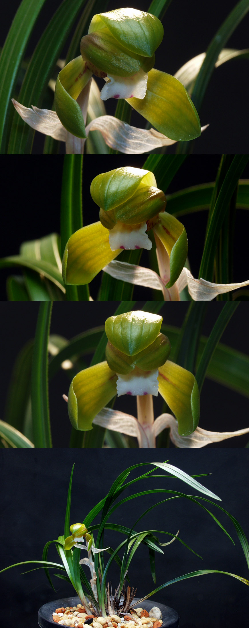 ������ ū������ �� �� �ֽ��ϴ�.