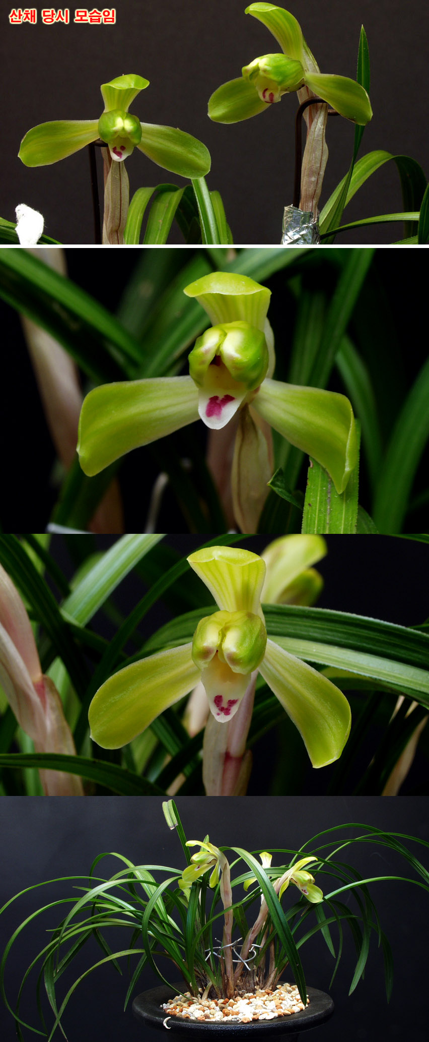 ������ ū������ �� �� �ֽ��ϴ�.