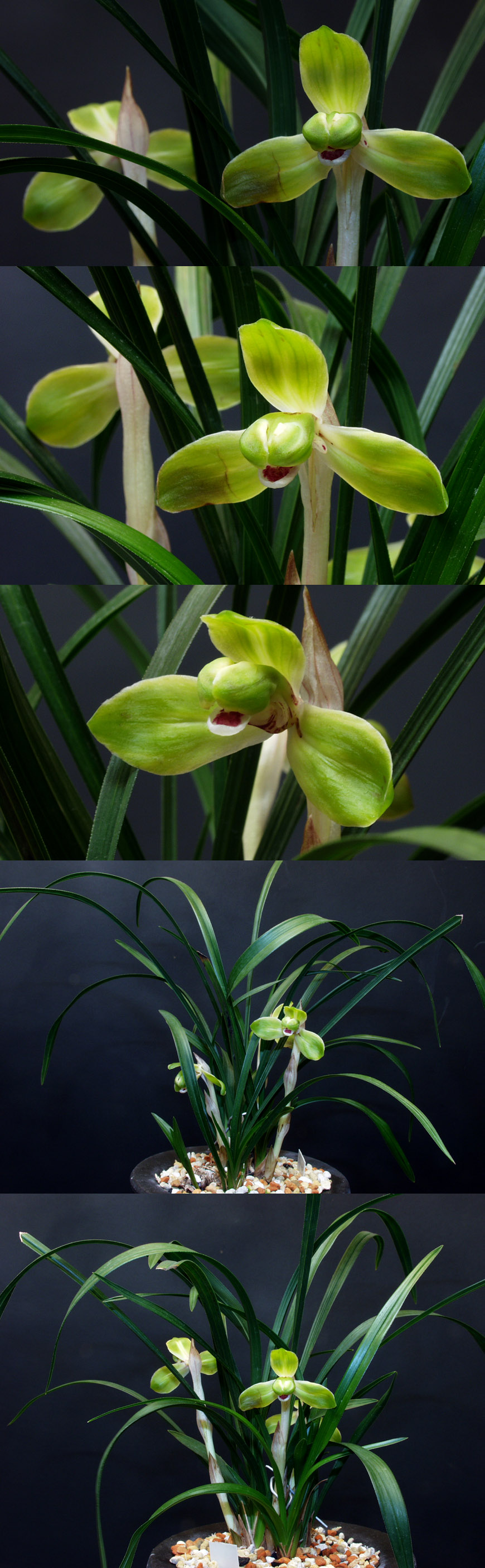 ������ ū������ �� �� �ֽ��ϴ�.