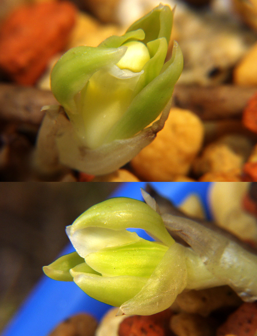 ������ ū������ �� �� �ֽ��ϴ�.